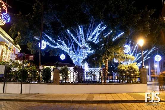 La Navidad ya ilumina Telde/Francisco Javier Santana y Antonio Alí.